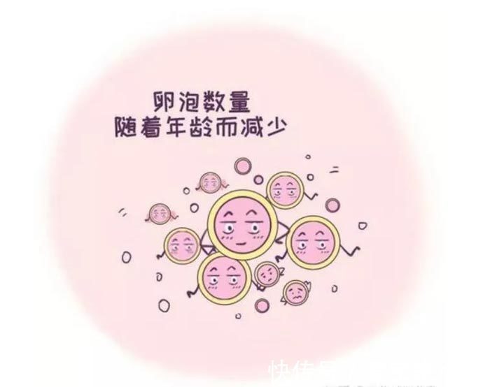 黑客24小时在线接单网站黑客业务