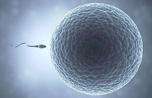 黑客24小时在线接单网站