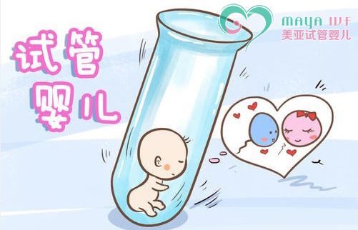 24小时接单的黑客平台