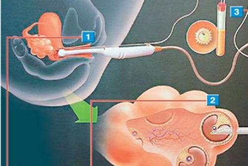 黑客联系方法便宜