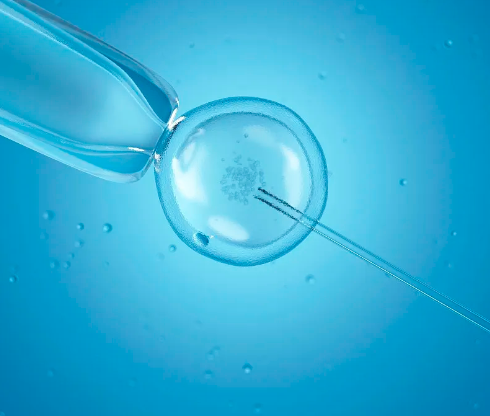 真正的黑客联系方式高手